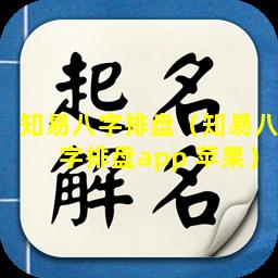 知易八字排盘（知易八字排盘app 苹果）